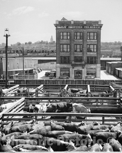 Kansas City, Missouri, Kansas City Stockyards, c1936