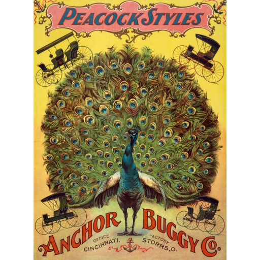 Peacock styles: Anchor Buggy Co.