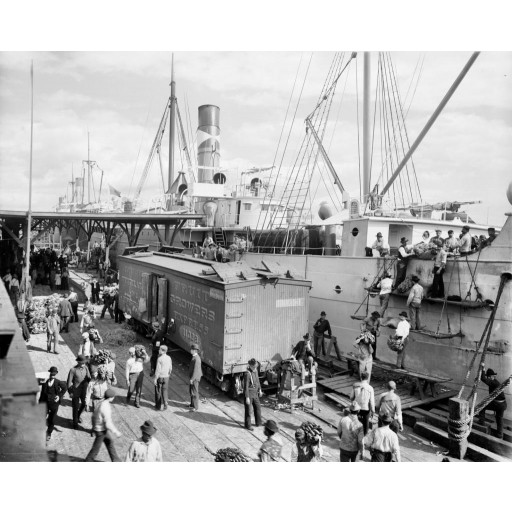 Unloading Bananas, Port of New Orleans, c1903