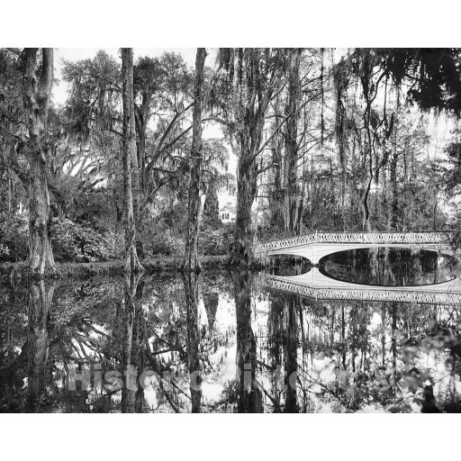 Charleston, South Carolina, The Lake at Magnolia Gardens, c1901