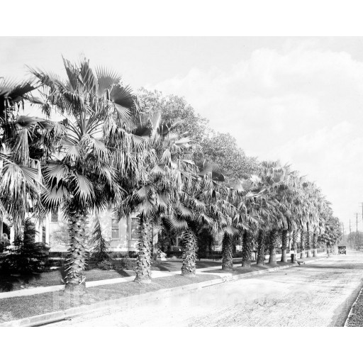 New Orleans, Louisiana, St Charles Avenue, c1915