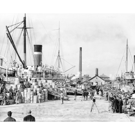 Philadelphia, Pennsylvania, League Island Shipyard, c1913