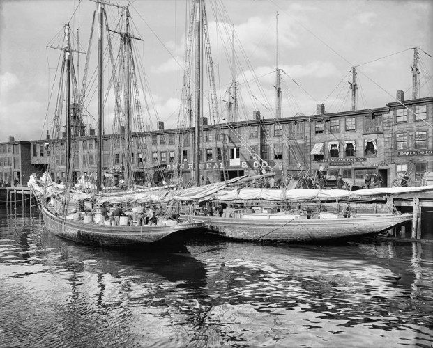 Fishing Schooners at the “T” Wharf, c1904