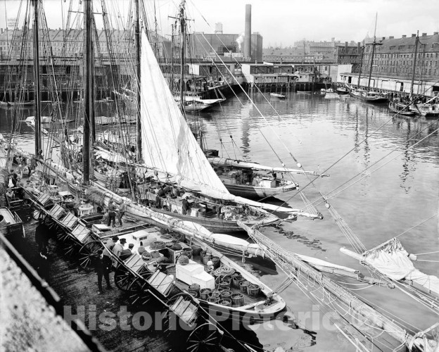 Boston, Massachusetts, Fishermen Docked at the T-Wharf, c1905