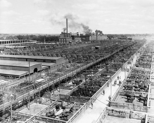 Denver, Colorado, Denver Stockyards, c1930