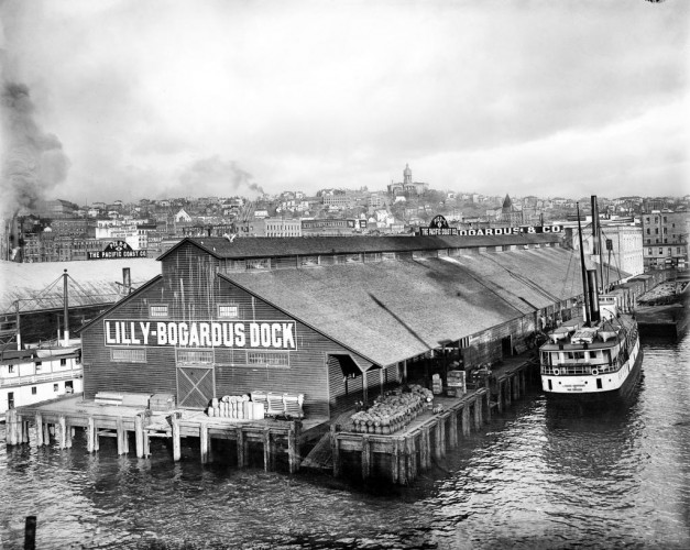 A View of Seattle from the Water, c1901