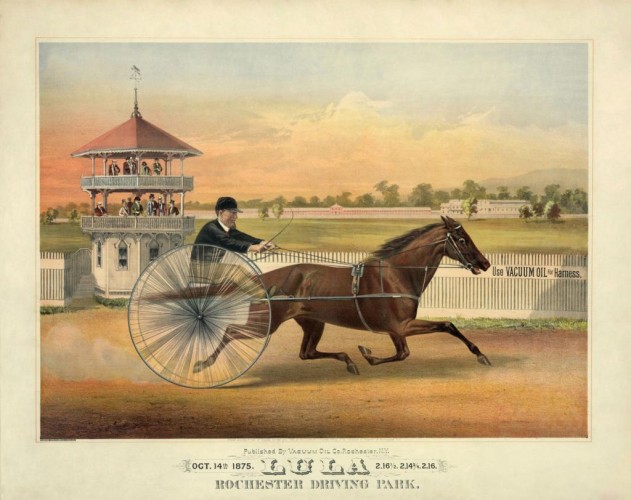 Lula, at Rochester Driving Park, c1875