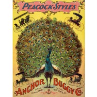 Peacock styles: Anchor Buggy Co.
