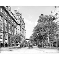 Carriages on Liberty Street, c1904