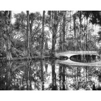Charleston, South Carolina, The Lake at Magnolia Gardens, c1901
