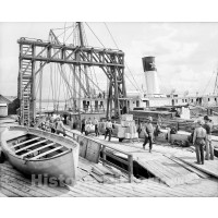 New Orleans, Louisiana, Conveyors on the Docks, c1906