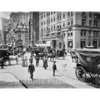 New York City, New York, Belmont Coach on Fifth Avenue, c1905